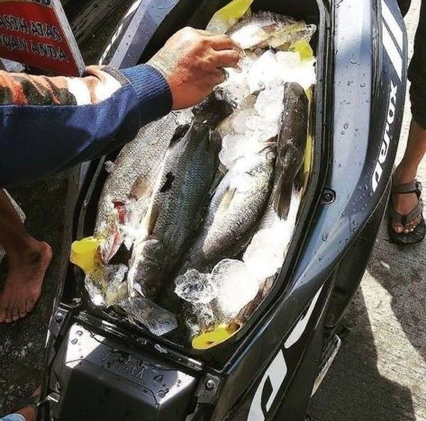 Potret kocak isi jok motor yang nyeleneh ini bikin mata melongo